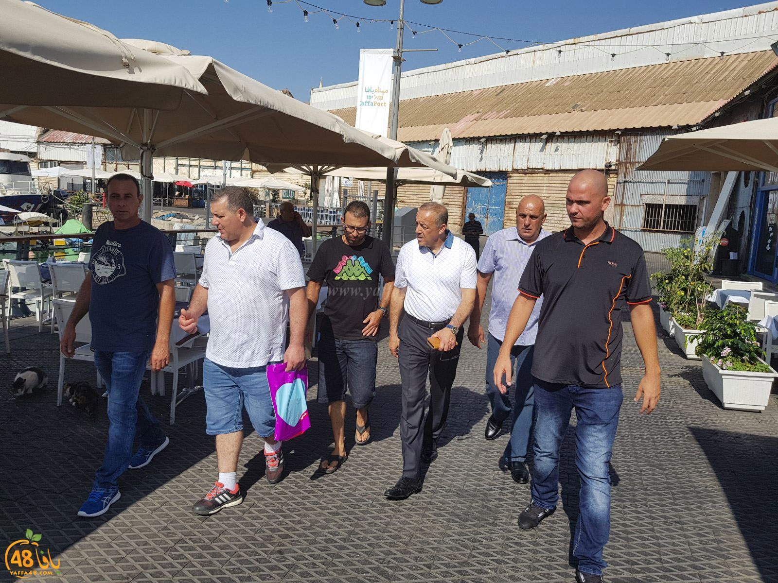 sayaden kolna knestet (1).jpg